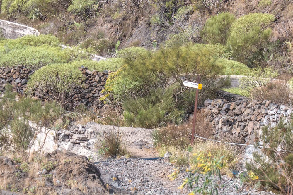 Ruta de senderismo Puerto de Santiago - Santiago del Teide TF-65 - Camino Real