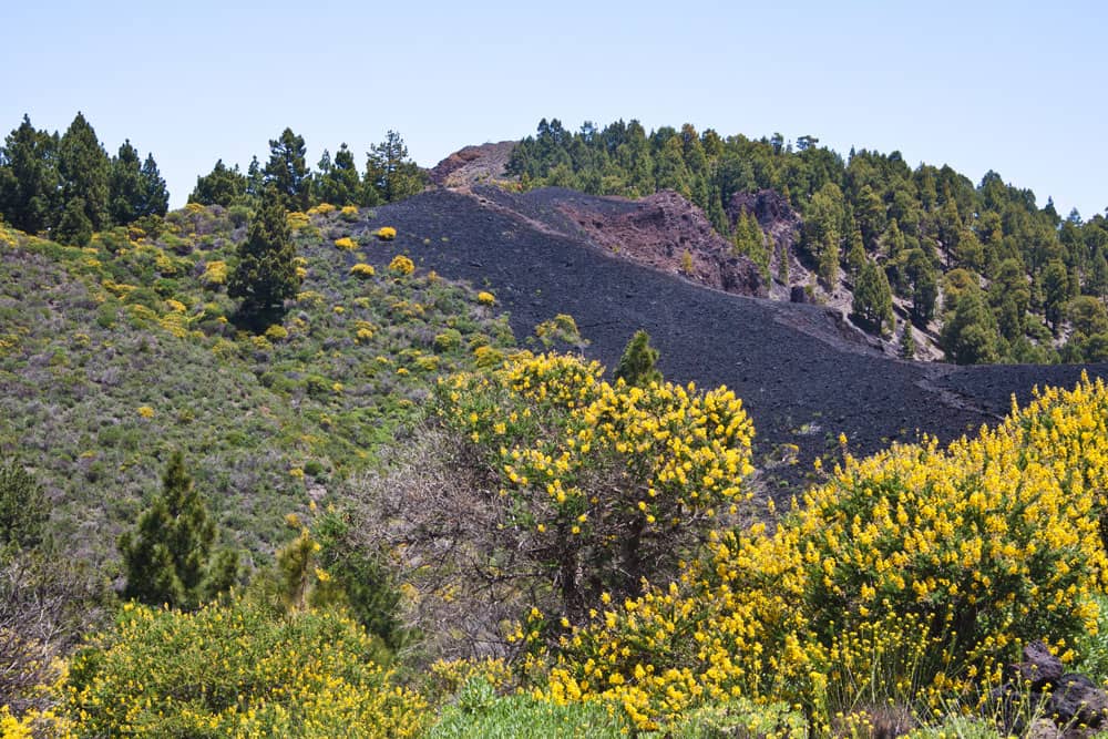 Ruta de los Volcanes