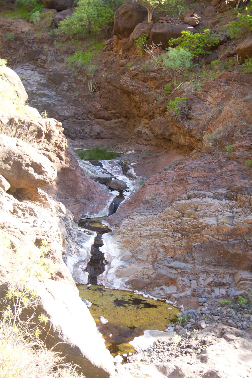 Im Barranco Bett des Natero ist an vielen Stellen Wasser zu finden.