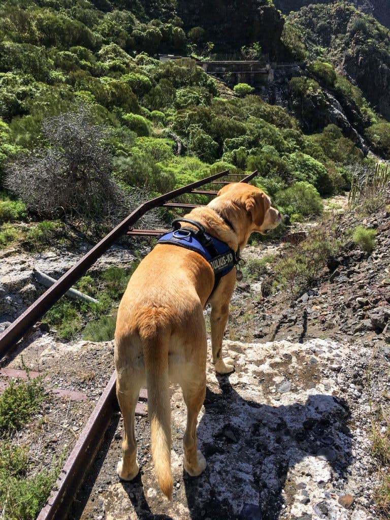 Barranco Natero - Huellas que se adentran en el vacío - senderismo con perro