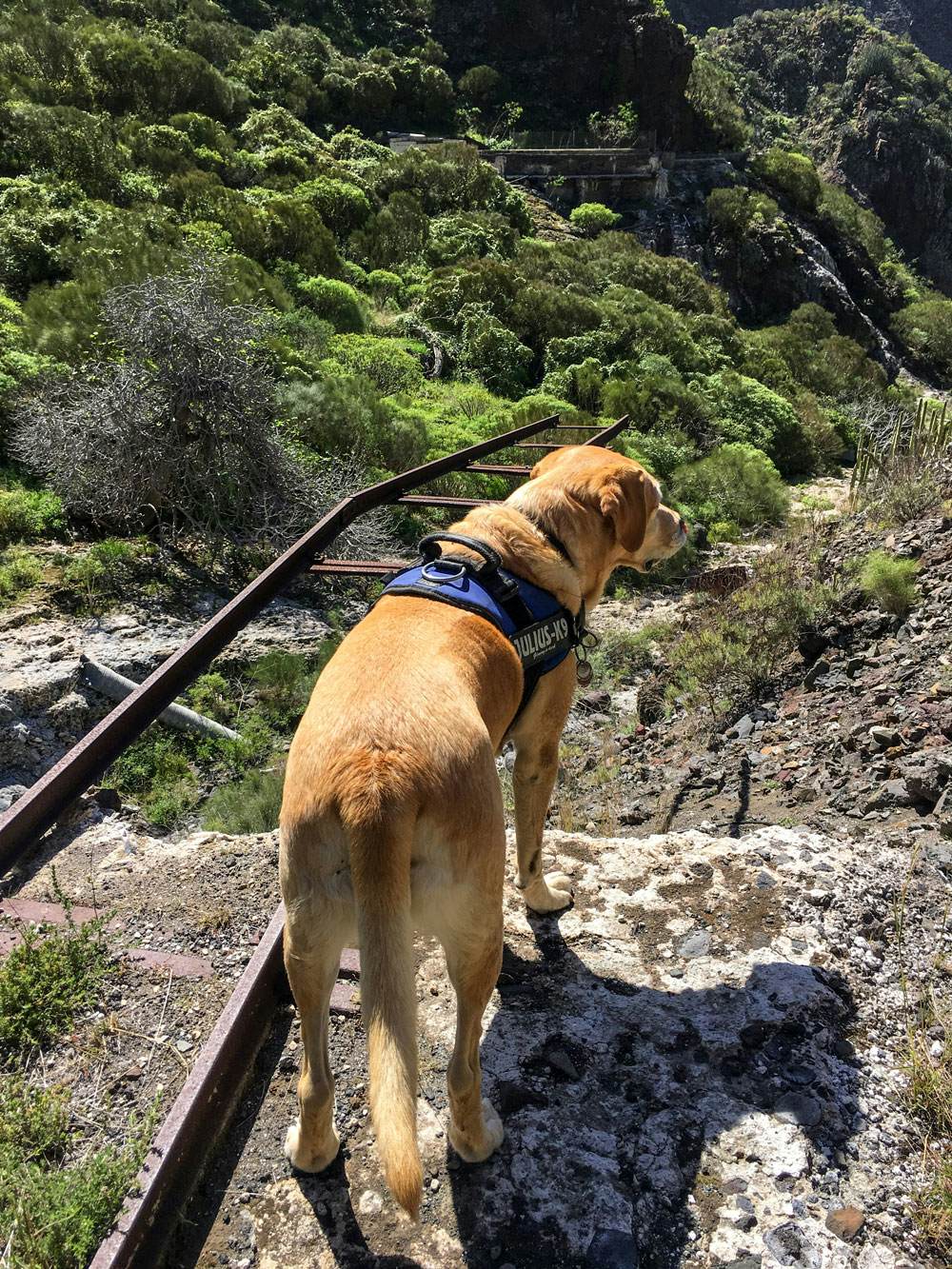 Barranco Natero - Gleise, die ins Leere führen - wandern mit Hund