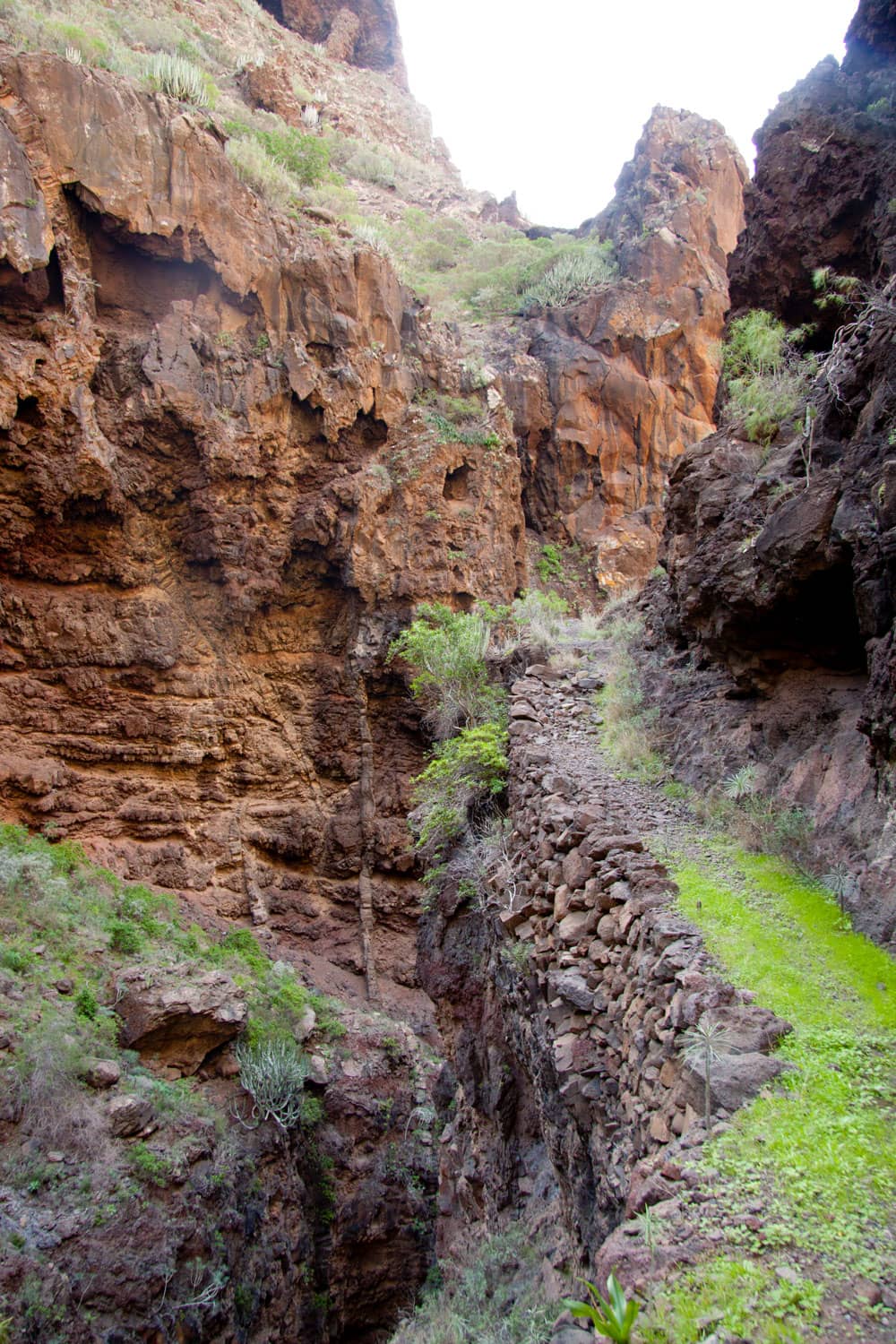 Barranco Natero - Wanderweg