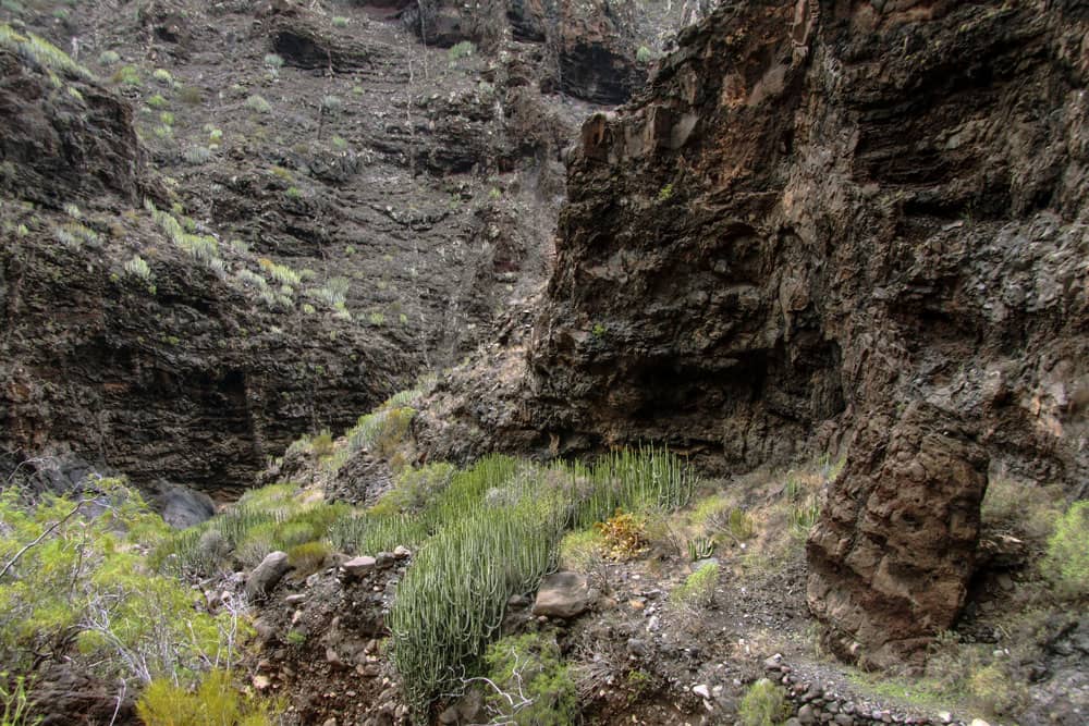 Barranco Seco - Wanderweg durch die Schlucht