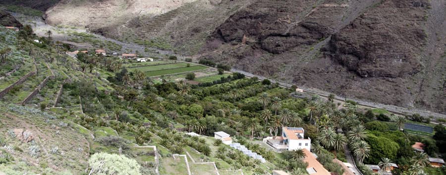 Blick auf die Gärten der Finca El Cabrito