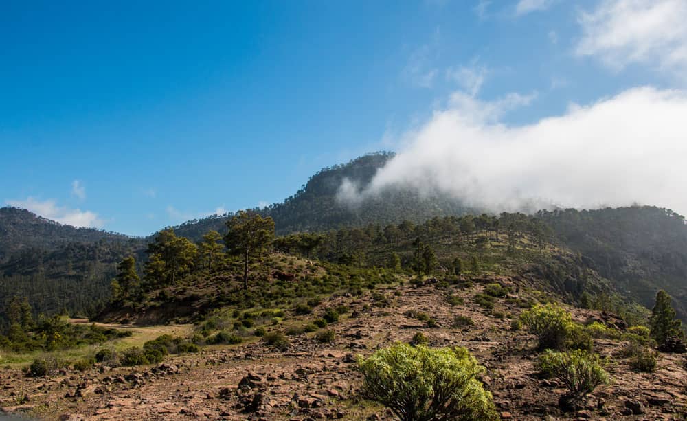 Blick auf den von Wolken umhüllten Gipfel des Inagua von El Laurelillo