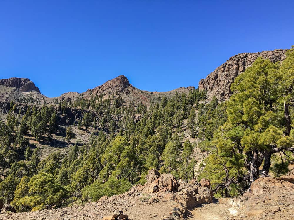 Wandern über Felsen und durch Kiefernwälder