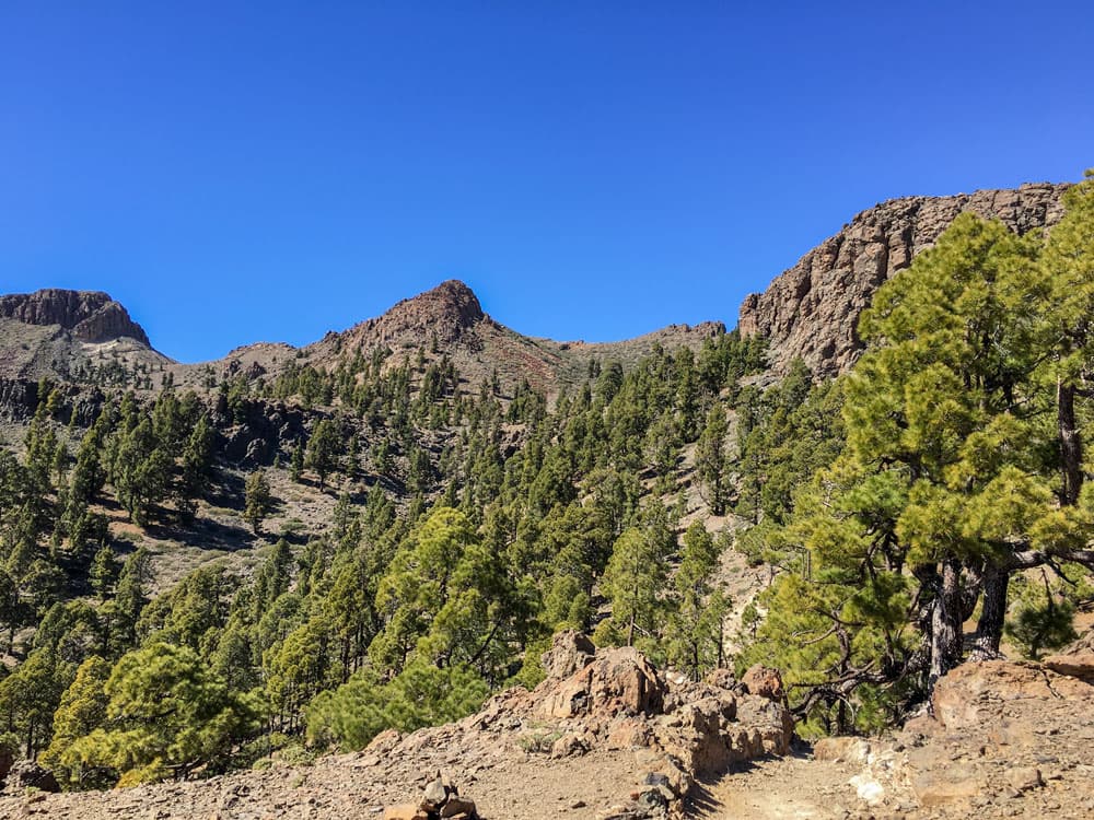 Wandern über Felsen und durch Kiefernwälder