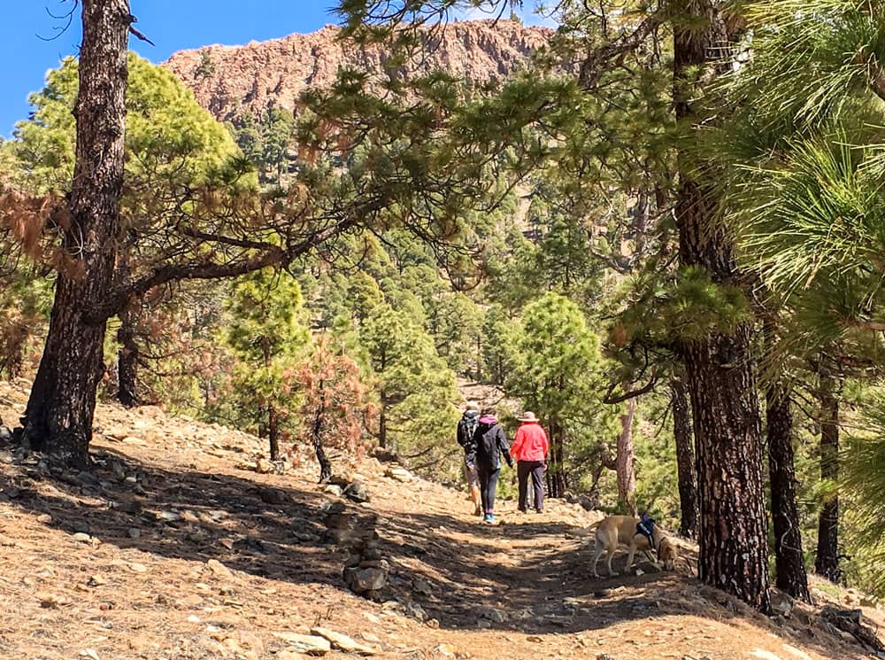 Excursionistas en el camino hacia el Sombrero de Chasna