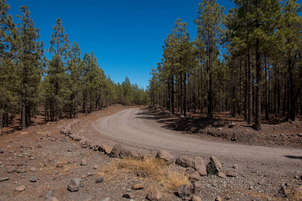 Breite Forstpiste (Pista Madre del Agua), von der die Paisaje Lunar und auch der Weg nach Vilaflor abzweigen