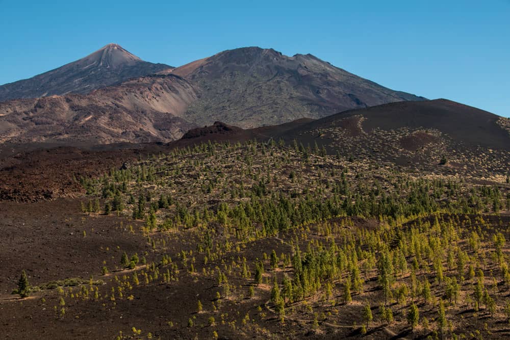 Blick auf den Teide, den Teide Viejo und die Montaña de la Botija