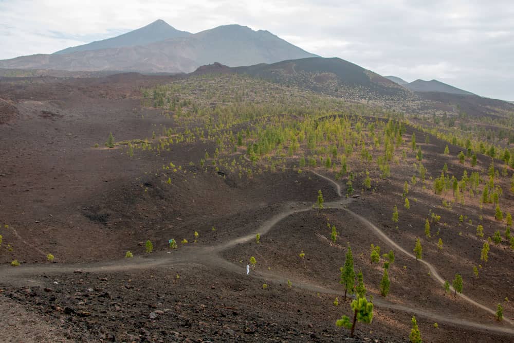 Blick von der Montaña Samara auf die Wanderwege und auf den Teide und den Teide Viejo