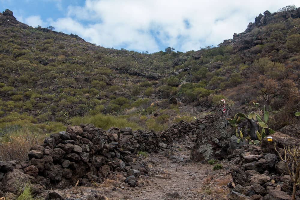 el Camino Real entre Tamaimo y El Molledo