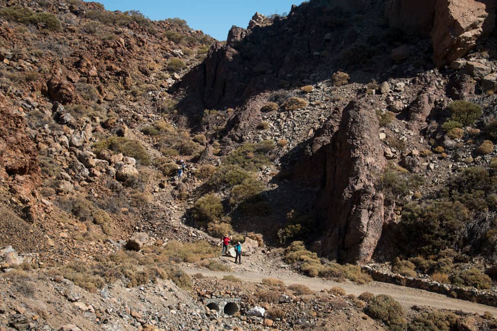 Ruta de ascenso al Guajara desde Sendero 16