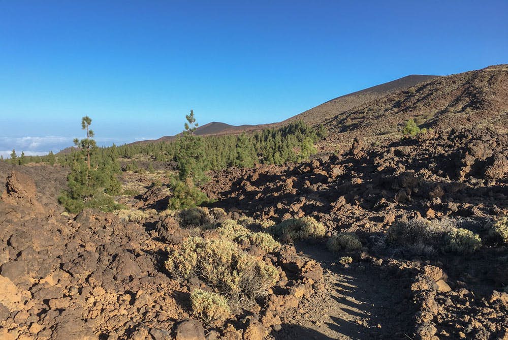 Inicio de la ruta de senderismo justo detrás del Mirador Narcises del Teide