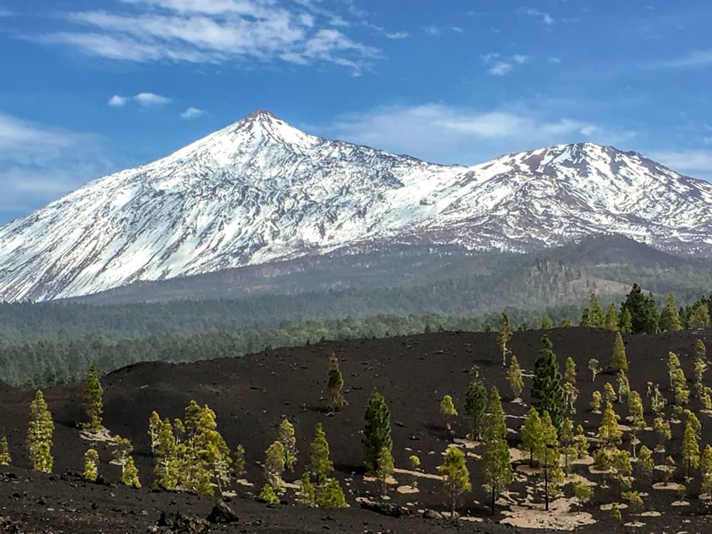 El Teide cubierto de nieve visto desde el circuito Chinyero