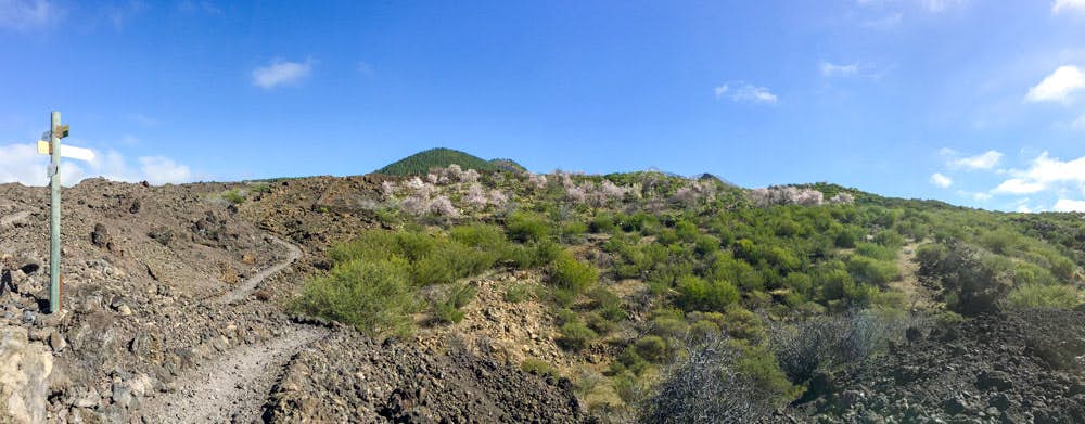 Panorama - Ruta de senderismo en flor sobre roca volcánica