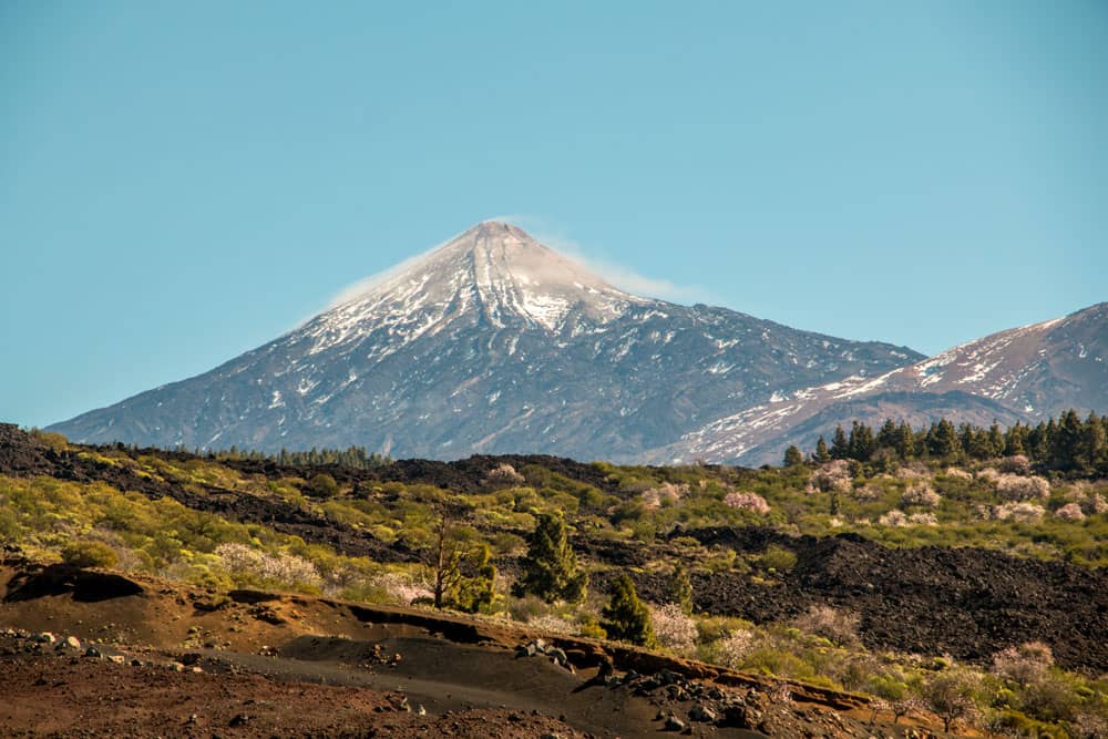 Blick auf den Teide - Mandelblütenbäume