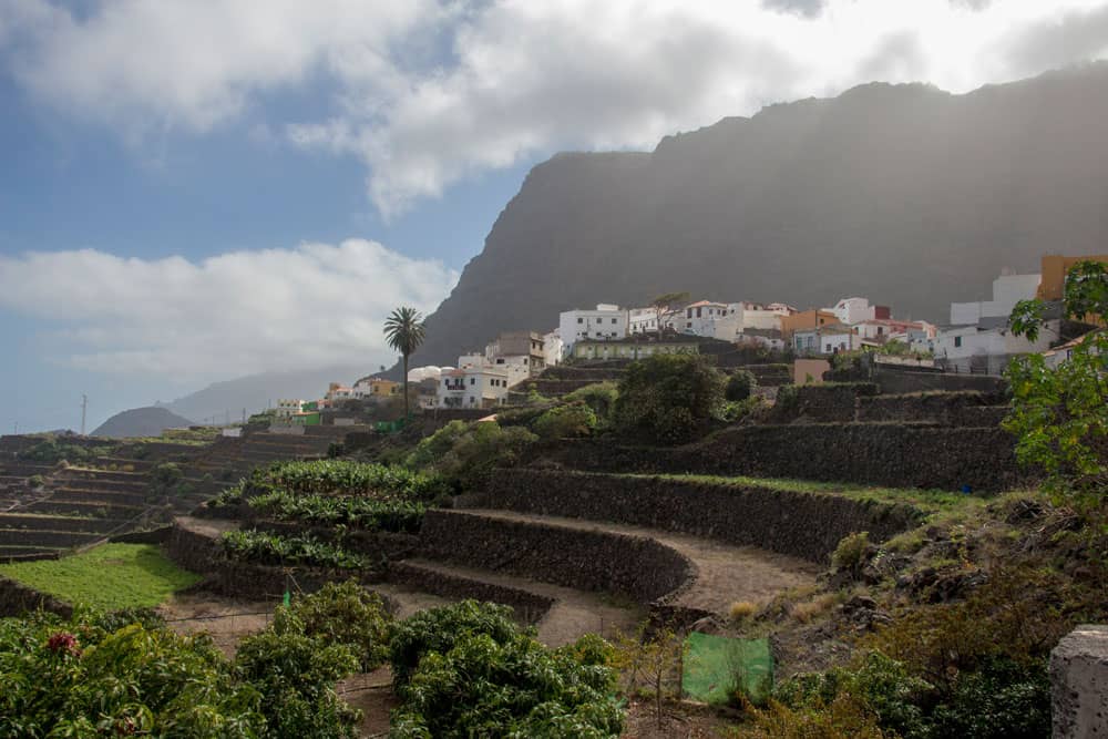 Campos de terrazas alrededor de Agulo