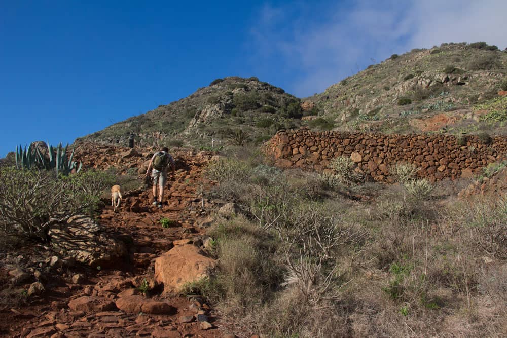 Camino entre el Mirador de Agulo y el Mirador Abrante