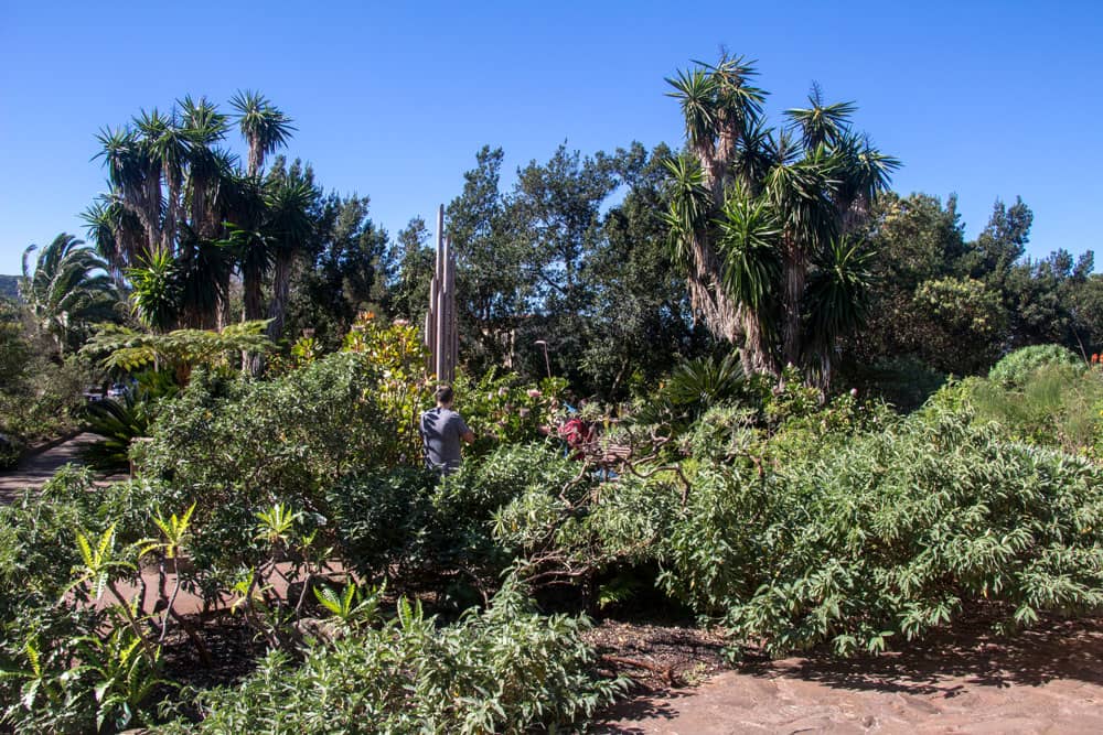 El jardín botánico del centro de visitantes