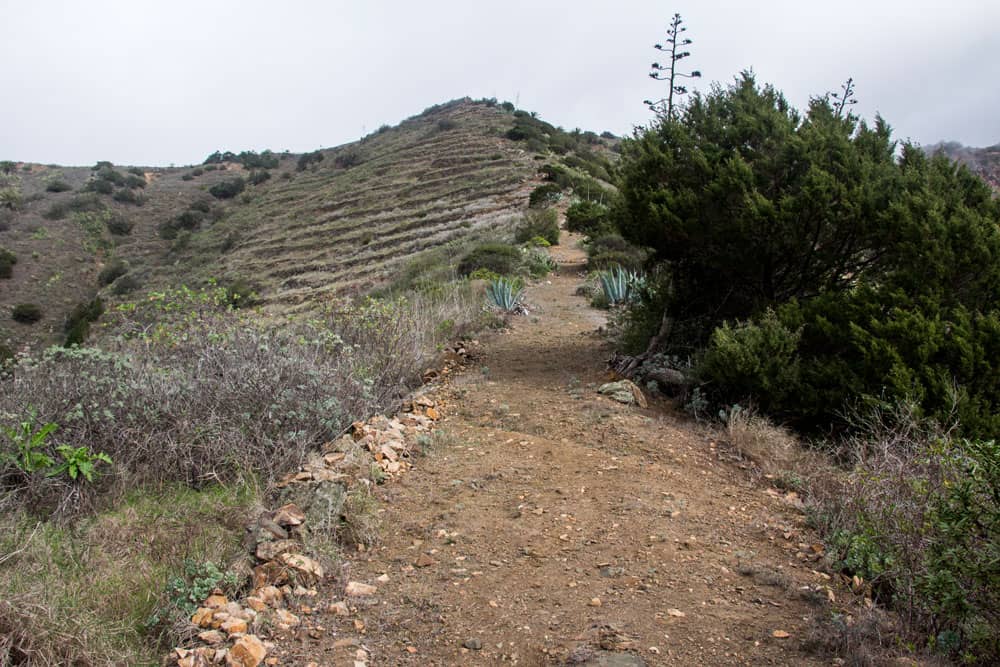 Wanderweg - Abstieg nach Simancas