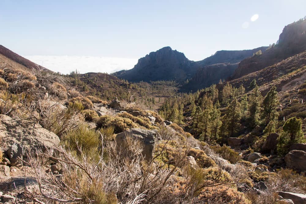 el salvaje valle de Ucanca