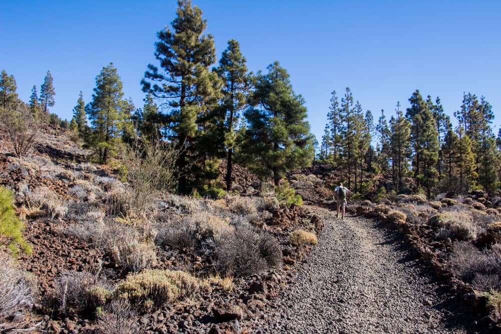 Ruta de senderismo en el Paisaje Lunar poco antes del desvío a Guajara