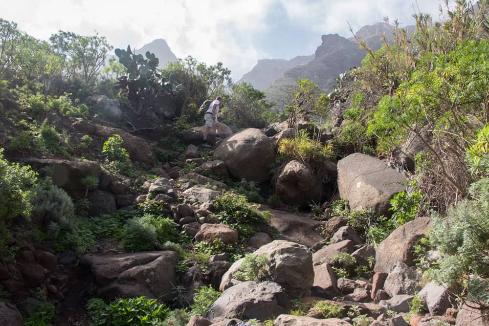 Aufstieg Risco Steig im Barranco