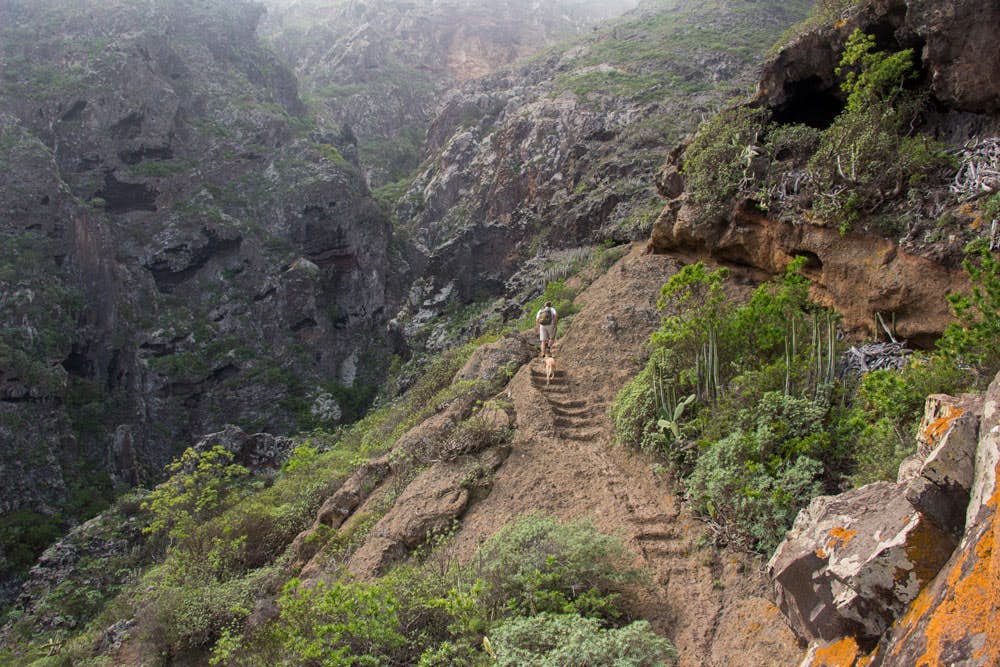 Escalones de roca en la Escalada del Risco, en el norte de los Montes de Teno