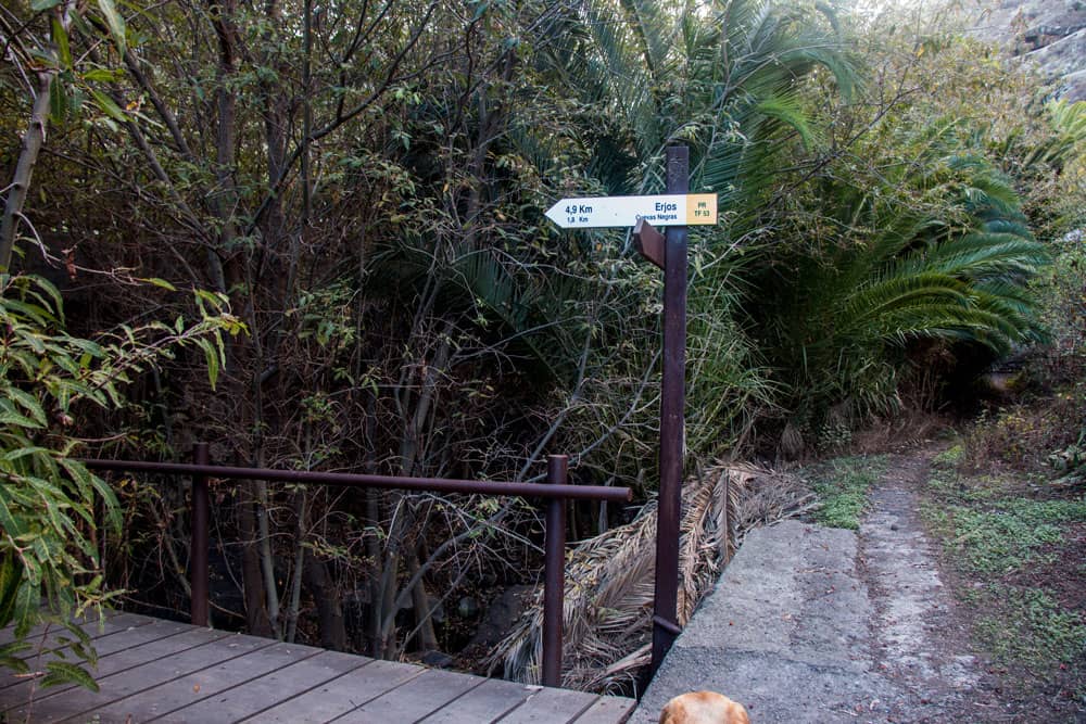 Ruta de senderismo en Los Silos - Puente