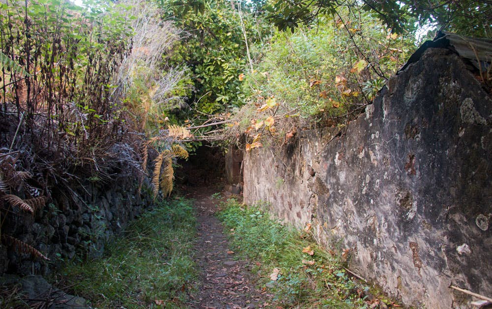 Wanderweg bei den Ruinen Cuevas Negras