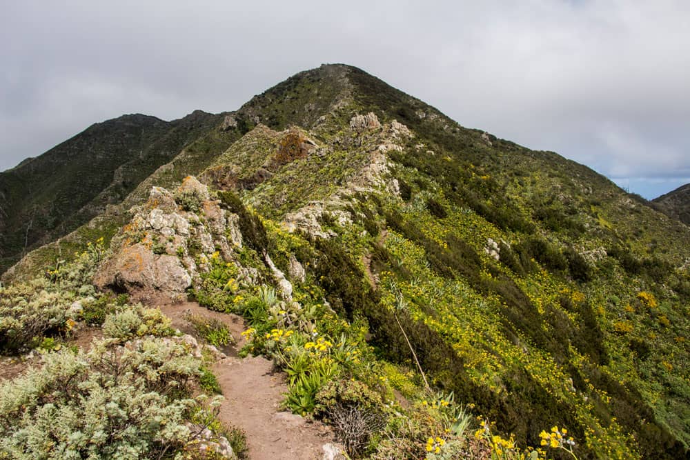 Cresta del Baracán