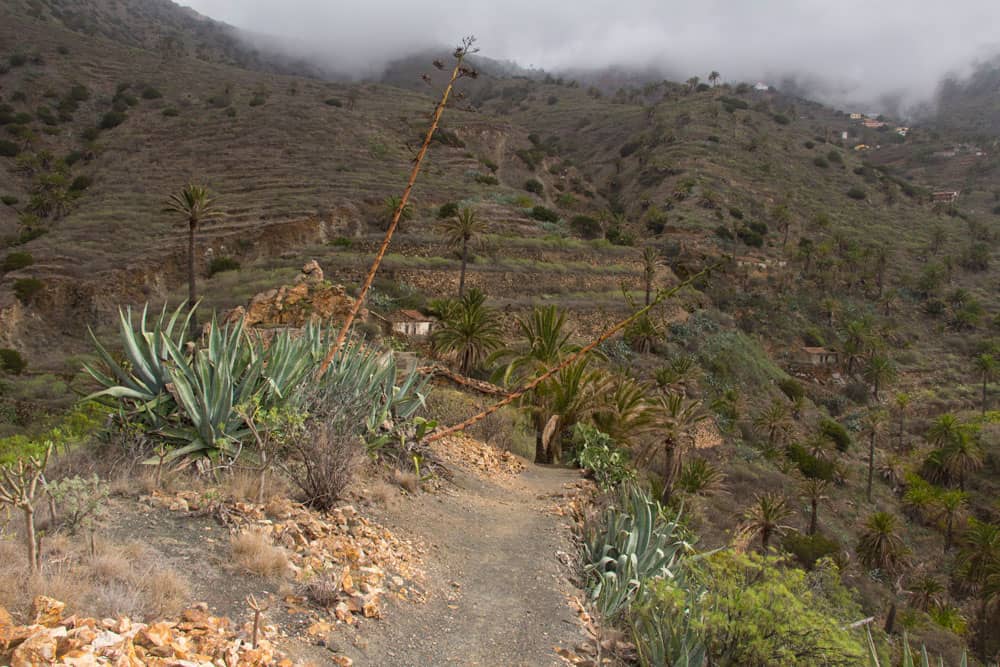 Casas en ruinas antes de Simancas en el borde de la carretera - Tamargada