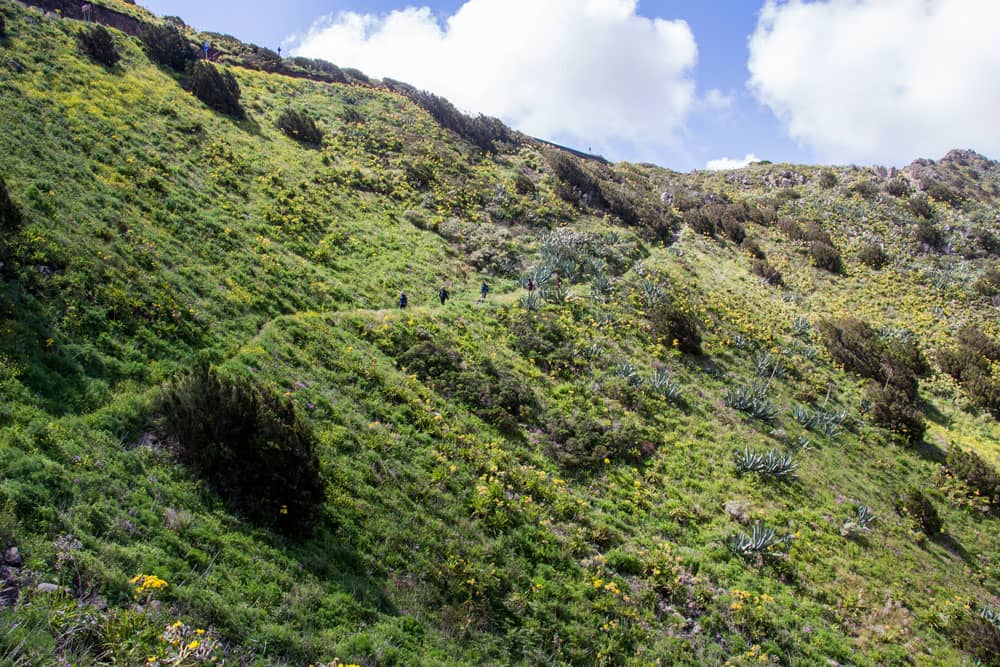 Ruta de senderismo por la ladera de la montaña hasta el Mirador Cumbre de Baracán