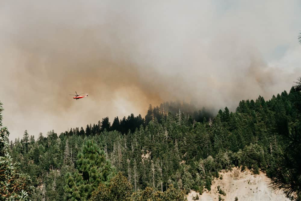 Artikelzusammenfassung und große Auswahl an GPS Wander-Tracks