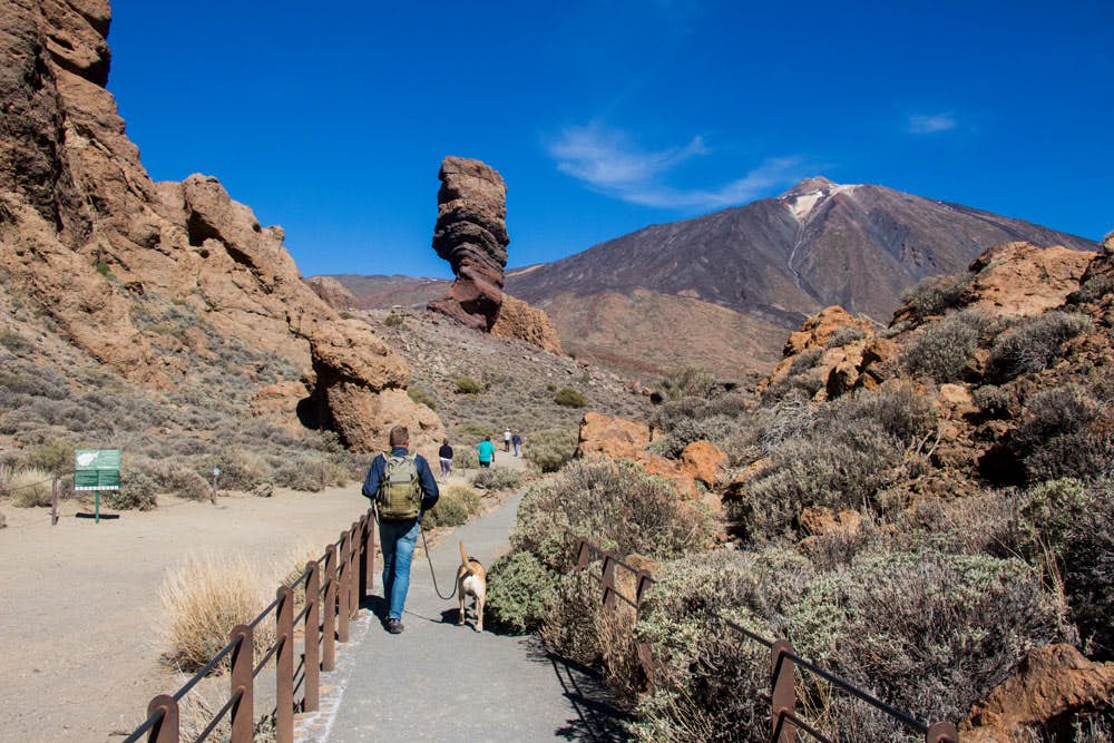 Wanderweg mit dem bekannten Felsen Cinchado oder auch &quot;Finger Gottes&quot;. Im Hintergrund der Teide.