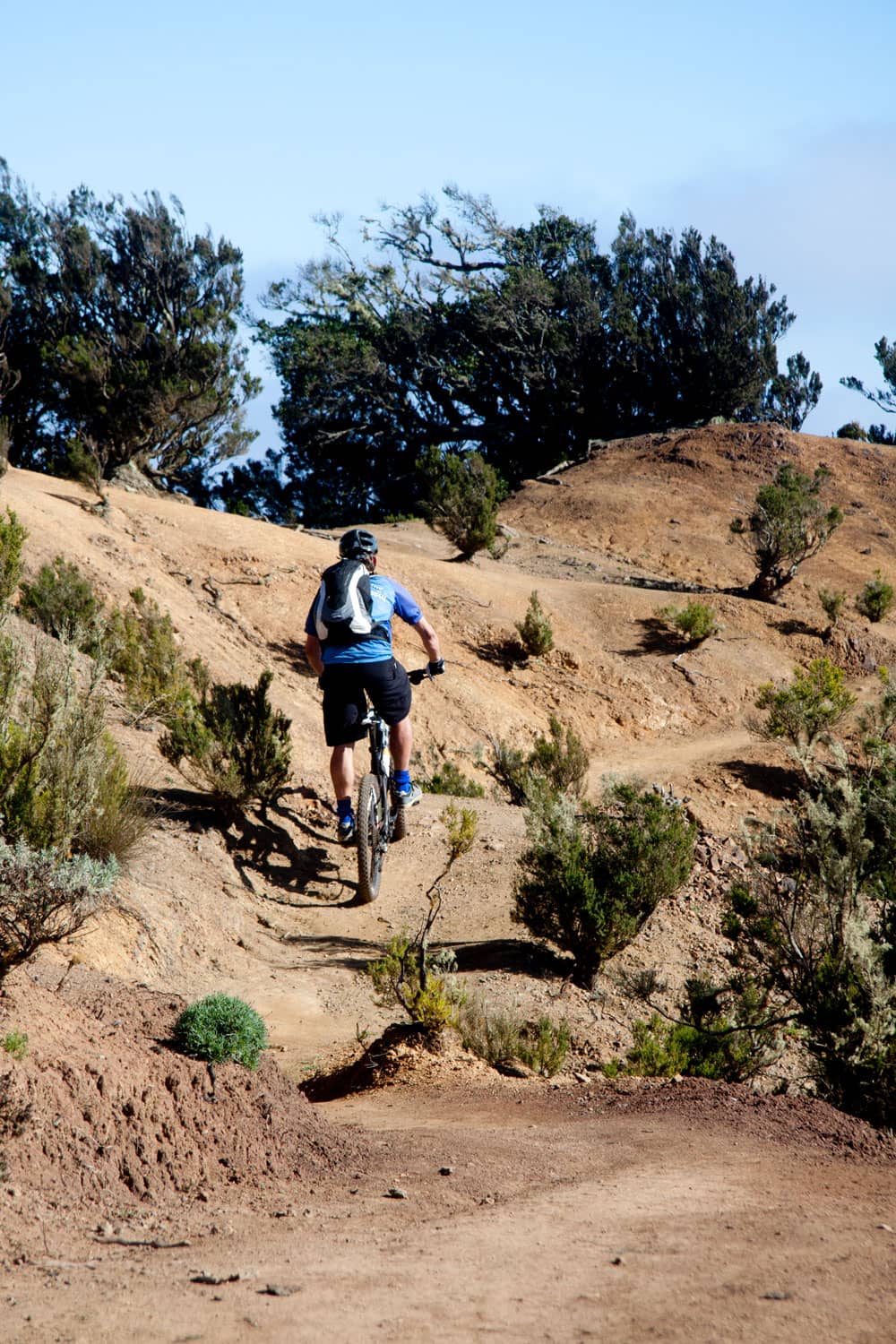 Mountainbiker auf dem Weg