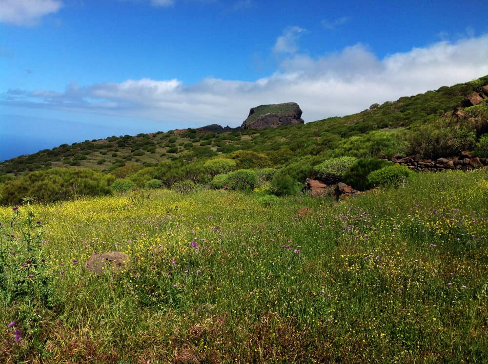 Pradera en las Guergues Steig