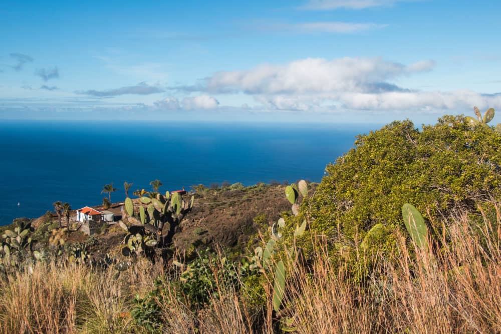 Vista de una finca debajo de Tijarafe