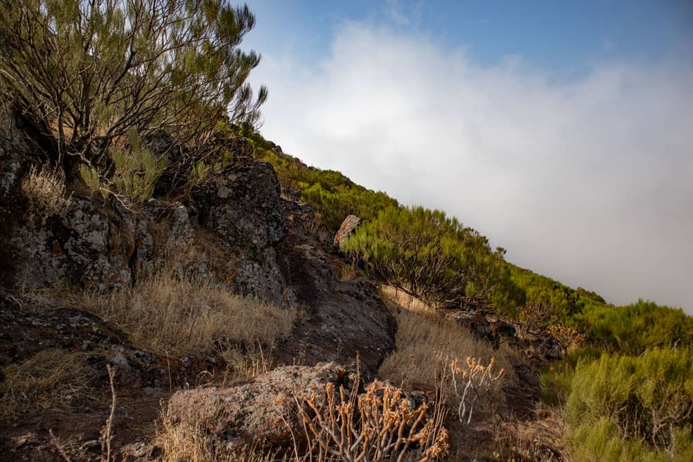 Sendero detrás de la finca - continúa cuesta abajo en la cresta - pero también se puede subir más a la izquierda de forma escalonada.
