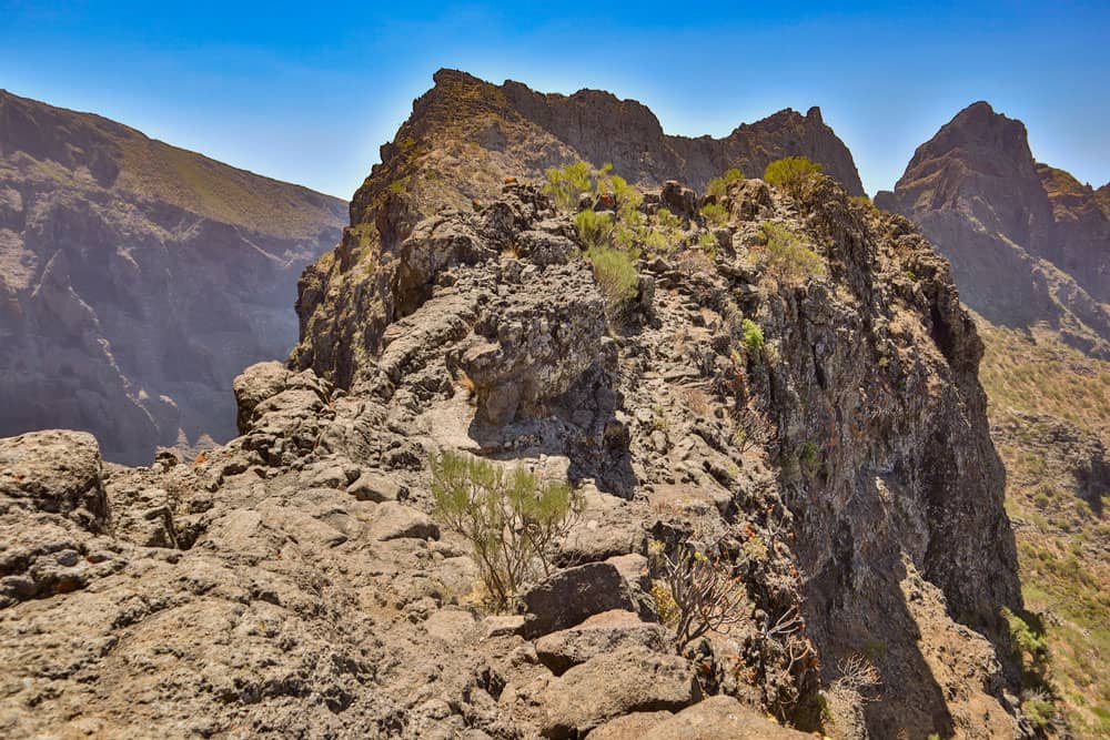 Camino pedregoso sobre la cresta