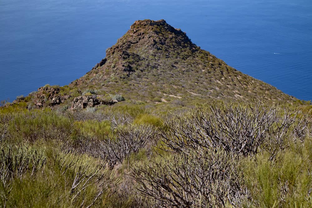 Vista desde la altura del alzado frontal en la cresta