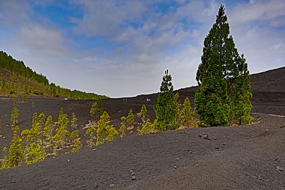Campo de lava Montaña Negra