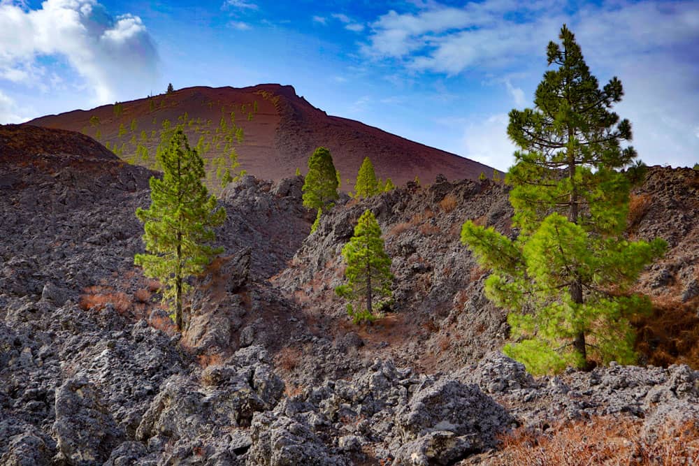 die Montaña Negra