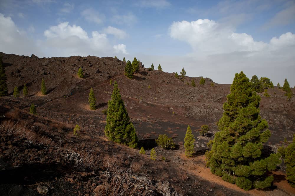 Ruta de senderismo sobre la colada de lava de Montaña Negra