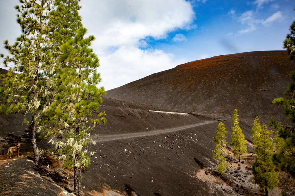 Ruta de senderismo de vuelta Montaña Negra