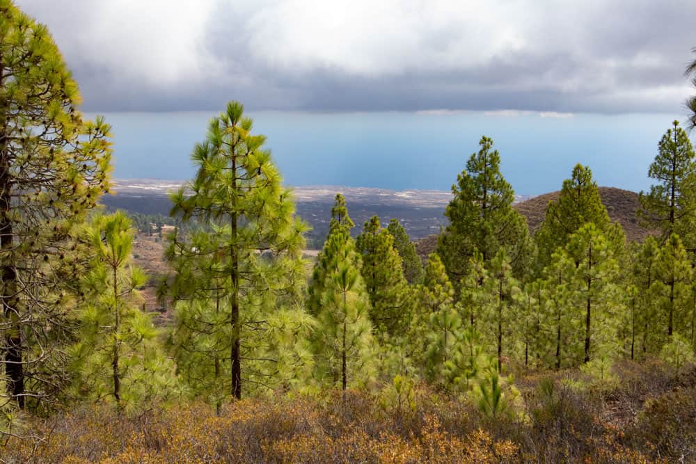 Ausblick auf die Südostküste von Teneriffa -https://leo-reuter.de/siebeninseln/teneriffa/paisaje-lunar/