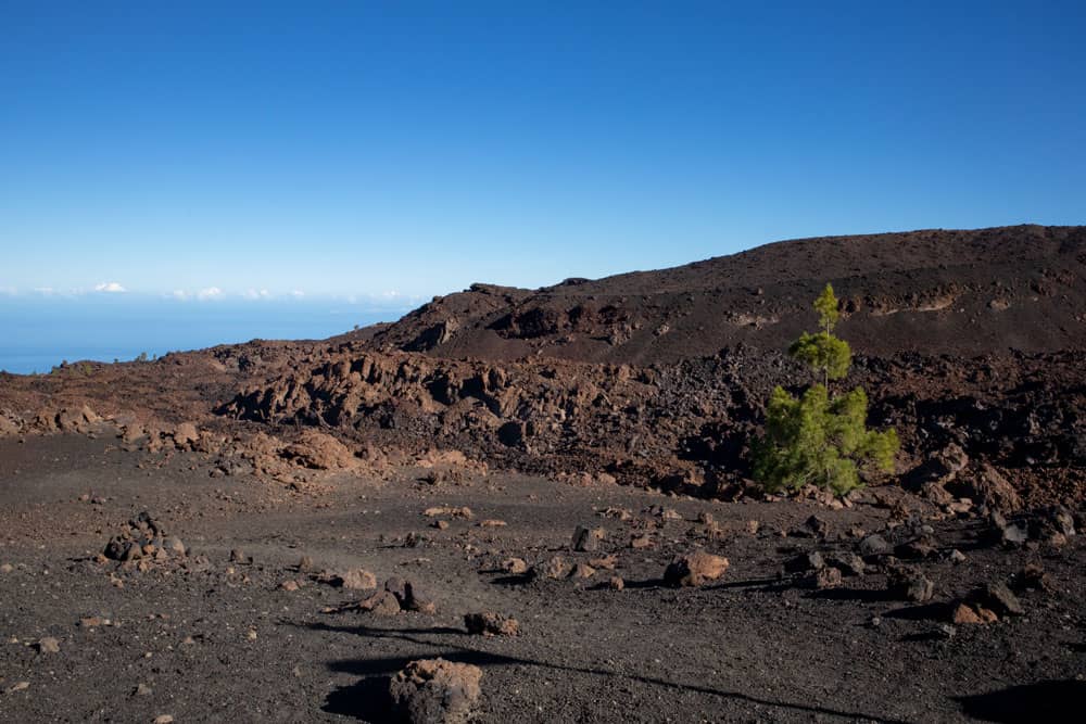 Wanderweg bei den Cuevas Negras - Montaña de La Cruz de Tea