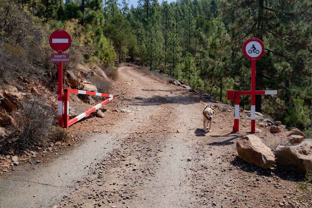 Fahrweg vor Acojeja