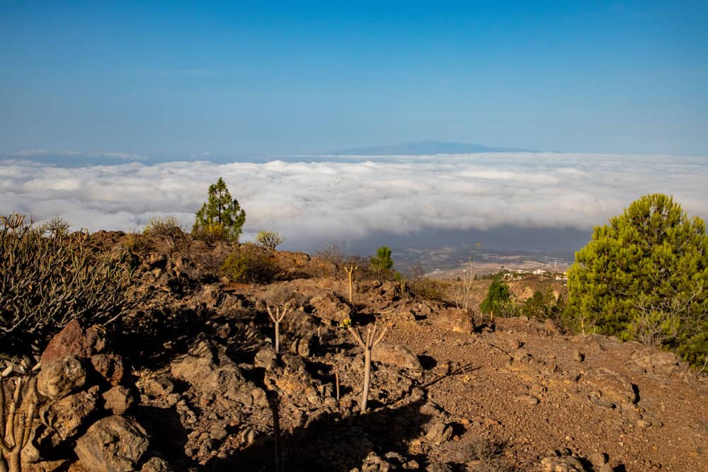 Vista de la costa sur y de La Gomera